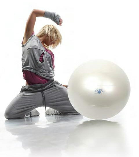 ギムニク フィットボール（Gymnic Fit Ball）バランスボール55cm、パールカラー、急に...:e-sply:10000348