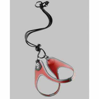 （ペット） TRE PONTI リベルタ リフレクティブ レッド 2号 LTP100