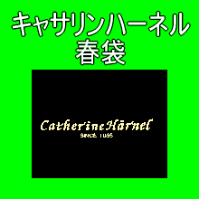 当店通常価格\90000以上のキャサリンハーネル(catherineharnel) 商品キャサリンハーネル春袋