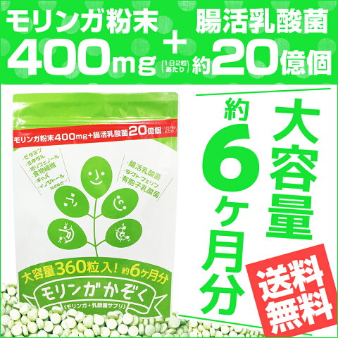 ●ネコポス送料無料●モリンガかぞく【大容量約6か月分】(モリンガ 乳酸菌 腸活乳酸菌 もち麦 腸活ダイエット 腸内細菌 腸内環境 腸内フローラ ポリフェノール 水溶性食物繊維 ギャバ イノシトール 粒 サプリ サプリメント 菌活 腸菌 楽天 ヘルシーライフ)