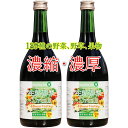 【宅配便のみ】生粋酵素液48時間ファステ...