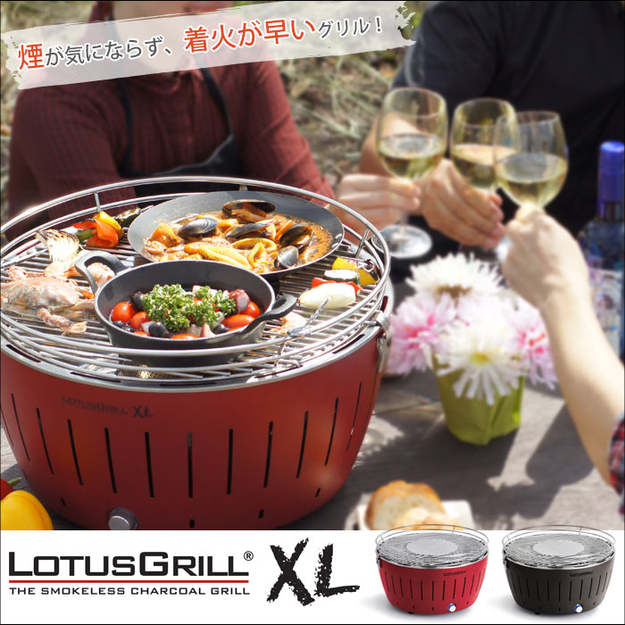 【ポイント13倍+お試し炭150g×2個付】【動画配信中】《ハーフェレジャパン》LOTUS…...:e-sumail-style:10006686