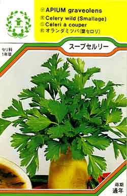 【メール便可】ハーブ・西洋野菜の種　「スープセルリー」