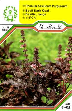 【メール便可】ハーブ・西洋野菜の種　「バジル ダークオパール」