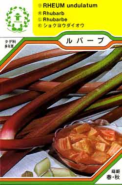 【メール便可】ハーブ・西洋野菜の種　「ルバーブ」