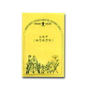 共通ECO袋　個別説明書添付無し【メール便可】●ハーブ・西洋野菜の種　「コキア　(ホウキグサ)」