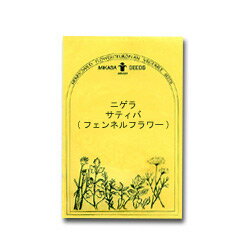 【メール便可】●ハーブの種　「ニゲラ　サティバ」共通ECO袋　個別説明書添付無し