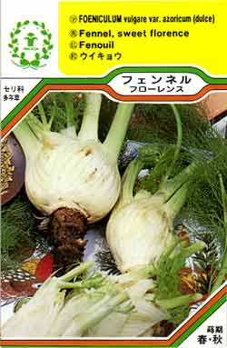 【メール便可】ハーブ・西洋野菜の種　「フェンネル・フローレンス」
