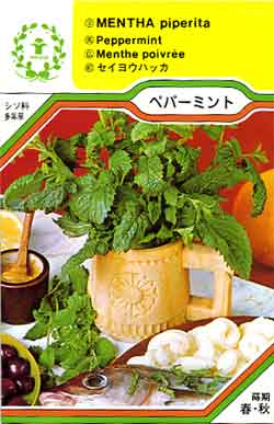 【メール便可】ハーブ・西洋野菜の種　「ペパーミント」