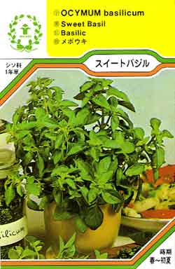 【メール便可】ハーブ・西洋野菜の種　「スイートバジル」