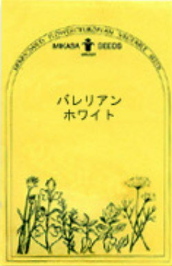 【メール便可】●ハーブの種　「バレリアン　ホワイト」共通ECO袋　個別説明書添付無し