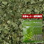 【送料無料】5袋セット 「レモンバーム・リーフ(葉部)」 75g (15g×5) リーフタイプ シングルハーブティー【単独発送(同梱不可)】