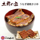 土用の丑 限定【浜名湖山吹】 デパ地下うなぎ屋の国産 うなぎ 蒲焼き2人前セット ※簡易包装 doyo02