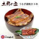 土用の丑の日 【浜名湖山吹】 国産 うなぎ 蒲焼き