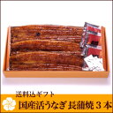 送料無料【うなぎ専門店 浜名湖山吹】国産 活うなぎ 蒲焼き 3本詰合せ YK10-3 о_老舗デパ地下鰻屋の国内産の、うなぎ。お祝いギフト お祝い プレゼント など 贈り物に最適!朝じめ 朝焼き【ウナギ、鰻】