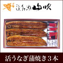 【うなぎ専門店 浜名湖山吹】【プレミアムギフト】特撰 国産 うなぎ 蒲焼き 3人前詰合せ о_老舗デパ地下鰻屋の国内産の、うなぎ。お祝いギフト お祝い プレゼント など 贈り物に最適!【ウナギ、鰻】