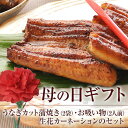 母の日ギフト【送料無料】【うなぎ専門店 浜名湖山吹】【冷蔵でお届け】 母の日 プレ