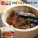 【うなぎ専門店 浜名湖山吹】うなぎ蒲焼き 老舗デパ地下鰻屋のちょっと小ぶりの 訳ありうなぎ 蒲焼き 3串【国産】 о_老舗デパ地下鰻屋の国内産の、うなぎ。お祝いギフト お祝い プレゼント など 贈り物に最適!【ウナギ、鰻】