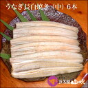 【うなぎ専門店 浜名湖山吹】【冷蔵でお届け】浜名湖産うなぎ 活長白焼き 【中】110gサイズ6本 S120-6 о_老舗デパ地下鰻屋の国内産の、うなぎ。お祝い ギフト プレゼント 贈り物 などに最適!食品 ウナギ(鰻)