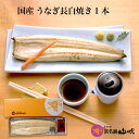 【うなぎ専門店 浜名湖山吹】【冷蔵でお届け】うなぎ 白焼き ...