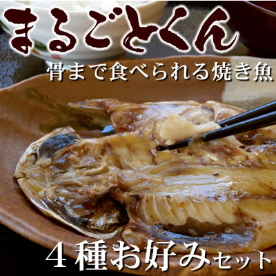 沼津の 干物 【ひもの】 【まるごとくん】送料無料 4種8点お好みセットо_干物_セット_…...:e-unagi:10000296