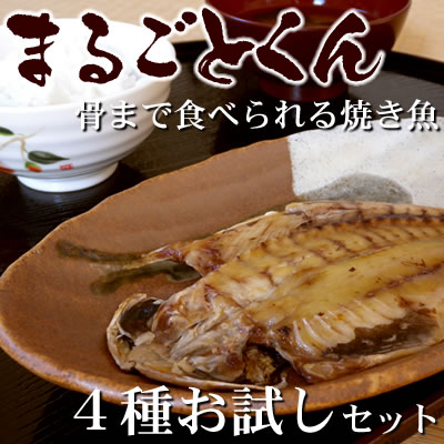 静岡県産 沼津の干物【ひもの】【まるごとくん】4種お試しセット【送料無料】о_干物_セット…...:e-unagi:10000295