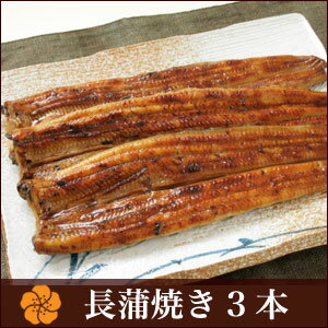 うなぎ 蒲焼き 【浜名湖山吹】 国産うなぎ 長蒲焼き （小）95gサイズ3本 