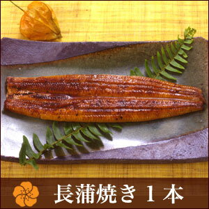 うなぎ 蒲焼き 【浜名湖山吹】国産うなぎ 長蒲焼き （小）95gサイズ1本〜 