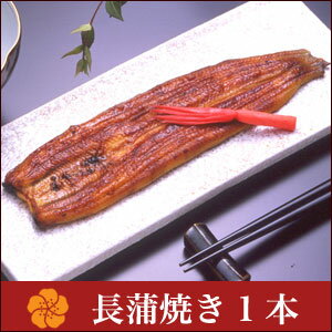 うなぎ 蒲焼き 【浜名湖山吹】 国産うなぎ 長蒲焼き （中）105gサイズ1本〜　【楽ギフ_のし宛書】活きのよい 国内産 うなぎをさらに厳選、浜名湖山吹の甘辛たれで焼き上げた自信作。お口の中でとろける旨みと上品な味わいの「うなぎ 蒲焼き」をお楽しみください。