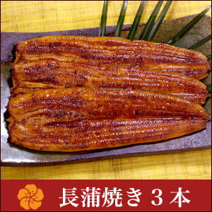 うなぎ 蒲焼き 【浜名湖山吹】 国産うなぎ 長蒲焼き （中）105gサイズ3本 