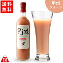     PJ bBNC[ 720ml RY Ԃǂ W[X tAt[ht@Ng[