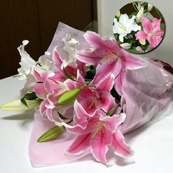 a  j LO oYj } ސE LO rWlX J JX I[v ړ]j J[ht ~bNX MIXԑ y ~b..