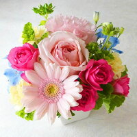 お祝い,御祝い,アレンジメント,誕生日,プレゼント,ギフト,贈り物,お返し,出産,還暦,古希,結婚記念日,新築,引っ越し,出産,卒業,入学,入園,進学,就職,昇進,就任祝い,開店,開業,オープン,移転,リニューアル,出演,公演,楽屋見舞い,発表会,即日発送,送料無料,花,フラワー