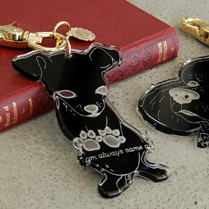 ̵girls style exp.29ǺܡǼBIG㡼ϥȥ󥢥Ƿ줿ȥסɥ뤬ͥƥȤʻž夬ꡪǥåΥɥåۥΩŪ˸ǥơˤܢdicokickDogХå㡼