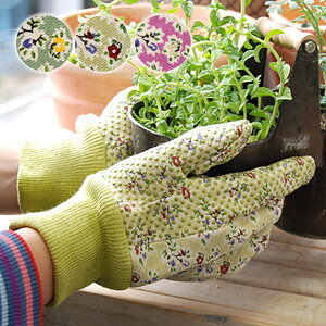 糰UVкˤ⡪褱֤ˤŬΥ塼Ȥʲǥ󥰥֤֡αžˤԥåʤΤǥɥ饤ּޤȤƤ⥪μǼХåդѳߤᥴդ󥫥Сꢡ꡼եåȥեץȥǥ˥󥰥