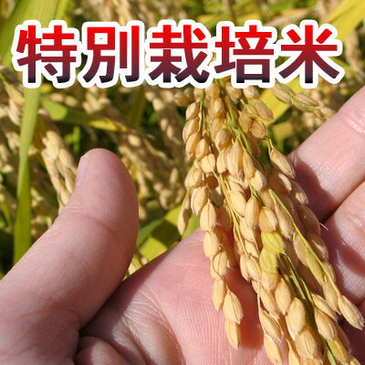 20ǯ̺ơEMݡˤޤä鸼30kg