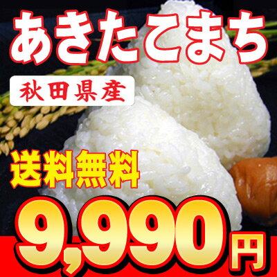 ≪秋田≫23年秋田県産あきたこまち　白米　27kg　（玄米30kg精米分）【数量限定】【送料無料】【東北復興_青森県】【2sp_120405_b】