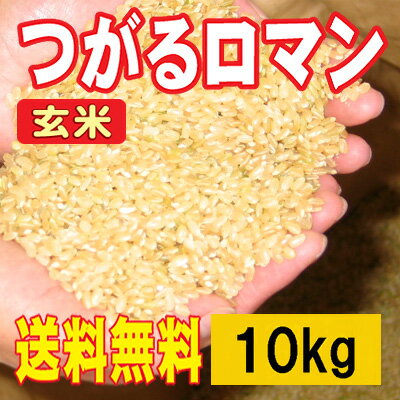 ■23年産青森県産つがるロマン玄米　5kg×2袋　【調整済み玄米】【送料無料】