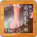 28年産 秋田県産産直もち米(白米)5kg