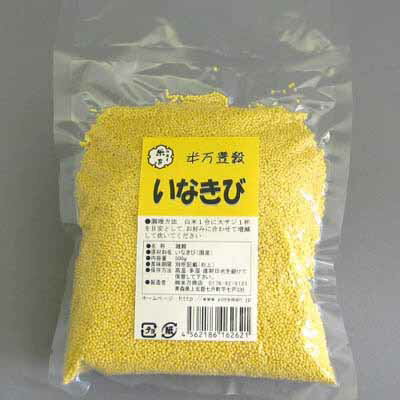 ˭򥷥꡼ʤӡ500g 긩