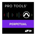 その他ProTools永続ライセンス 電子コード版 プロモ価格版 PROMOPTPL(2501934)送料無料