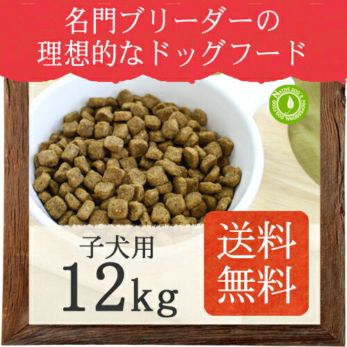 送料無料 ！ ネイティブドッグ　プレミアムチキン 子犬用 16kg（4kgx4袋入）