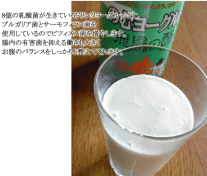 飲むヨーグルト 飛鳥の酪（大1本900ml）8億の乳酸菌が生きているドリンクヨーグルトです。