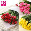 花束 50本「本数が選べるチューリップ(レッド/イエロー/ピンク)」 生花 ブーケ フラワー ギフト 花 プレゼント お祝い 記念 贈り物 サプライズ 誕生日 結婚記念 開店祝い 送別会 歓送迎会 新築祝い 発表会 定年 退職 合格 進学 入学 卒業 就職 春 送料無料 メッセージ無料