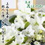 【お悔み・お供えの花】【花束/ブーケ】「花ほのか」【千趣会イイハナ】