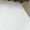 【送料無料】日除け名人 オーニングタイプ 90×180cm SL(シルバー) OME-9018 【インテリア レビュー投稿で次回使える2000円クーポン全員にプレゼント敷物・カーテン】