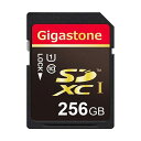 10000円以上送料無料 Gigastone SD