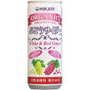 5000円以上送料無料 ヒカリ オーガニック ぶどうサイダー+レモン 250ml 水・飲料 飲料・ソフトドリンク 炭酸飲料 レビュー投稿で次回使える2000円クーポン全員にプレゼント