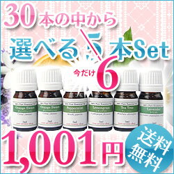 選べる今だけ5本→6本セット（アロマオイル／エッセンシャルオイル／精油／各5ml） ☆楽天ランキング1位選べるアロマオイル 5ml×今だけ5本→6本セット送料無料♪81,000セット販売♪