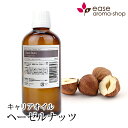 ヘーゼルナッツ 100ml 【キャリアオイル ベースオイル】【RCP】